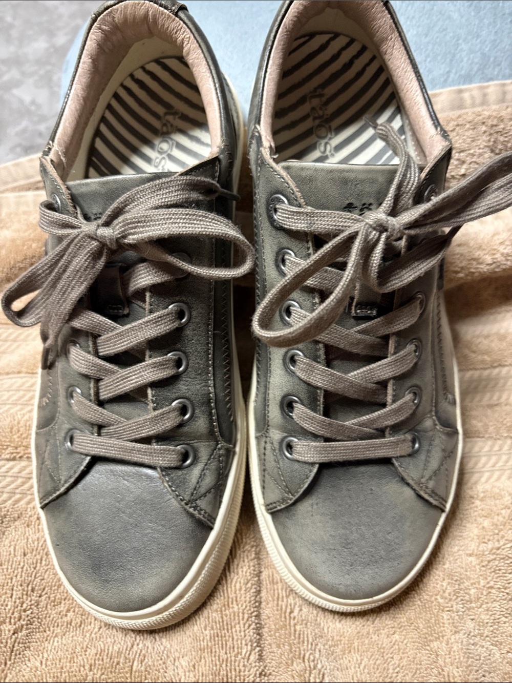 Taos Footwear Women's Lace-Up Sneakers in Taupe Gray